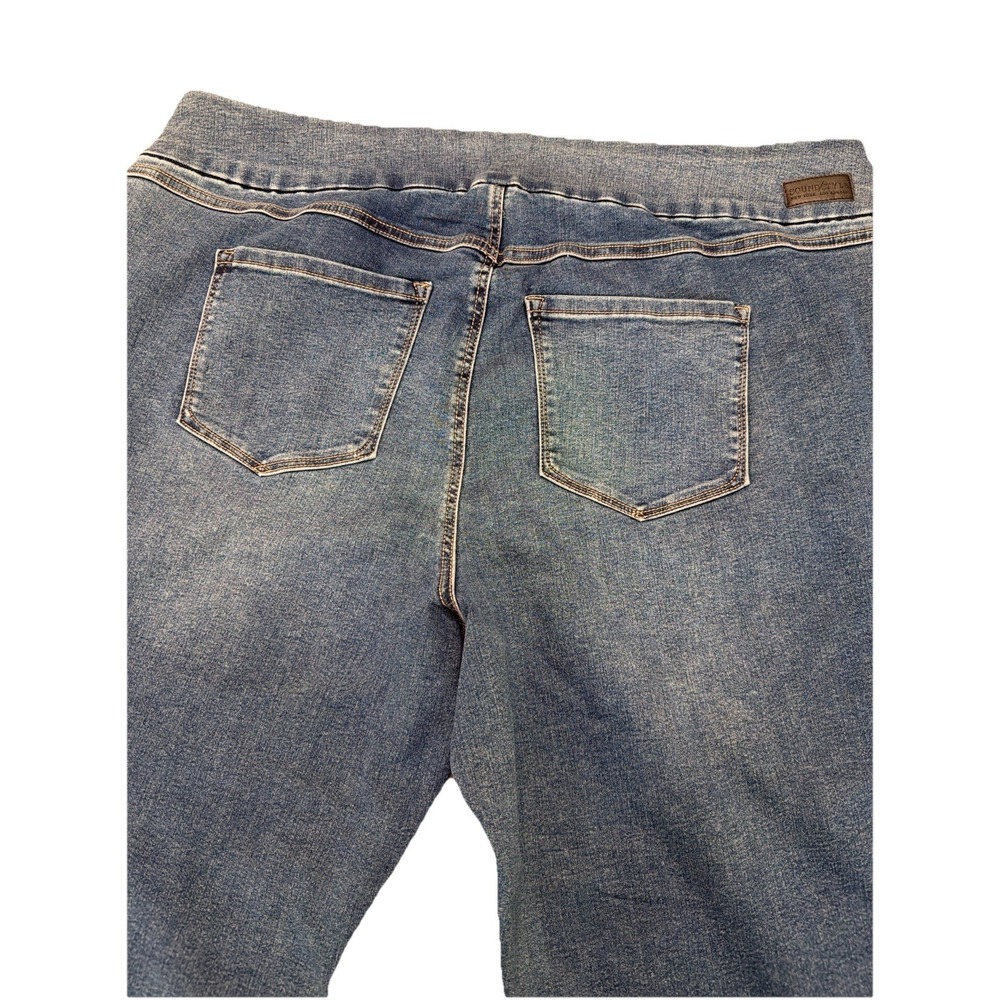SoundStyle Silk Denim Alana Skinny Jeans 3X Stretch Pull On Blue.     ‎  5172